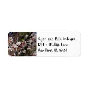 Cherry Blossoms Return Address Label