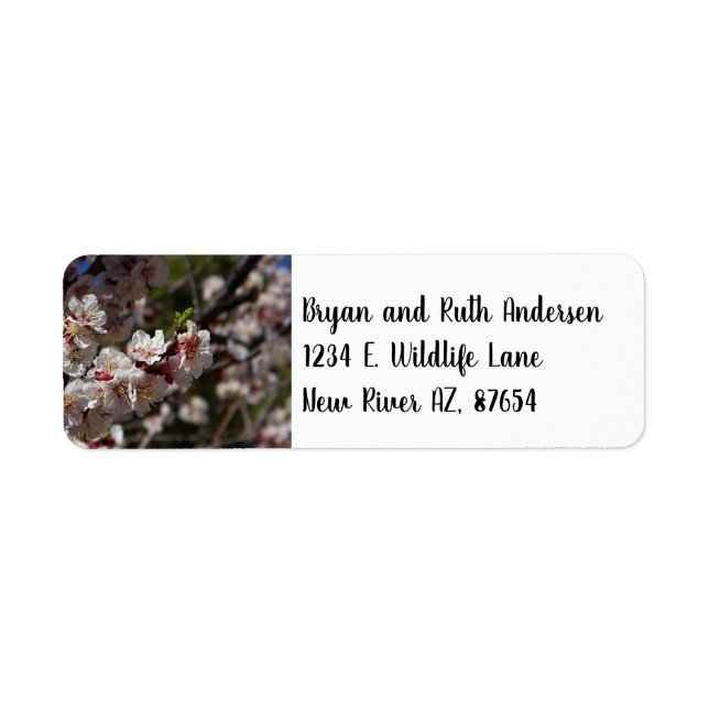 Cherry Blossoms Return Address Label (Front)