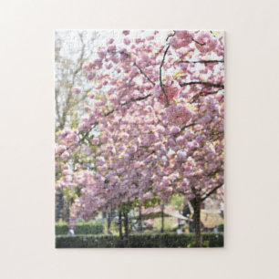 Cherry Blossoms Spring in London United Kingdom Jigsaw Puzzle