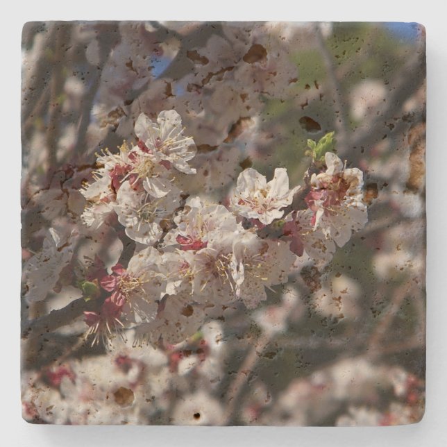 Cherry Blossoms Stone Coaster (Front)