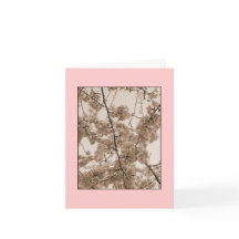'Cherry Blossoms' Tinted Blank Note Card