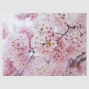 Cherry Blossoms Tissue Paper