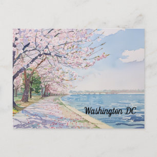 Cherry Blossoms Washington DC Tidal Basin Postcard