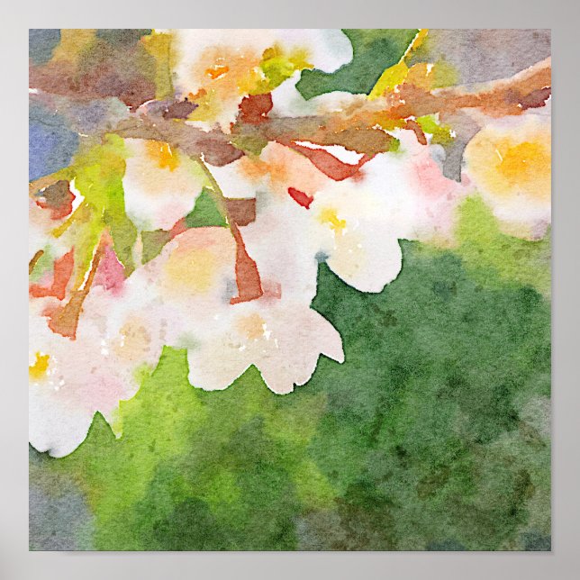Cherry Blossoms Watercolor Sakura Flowers Spring Poster (Front)