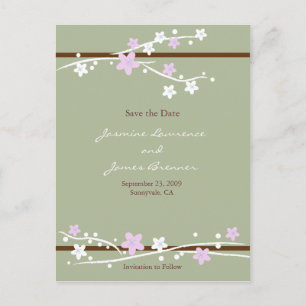 Cherry Blossoms with Ribbon Green Announcement Postcard