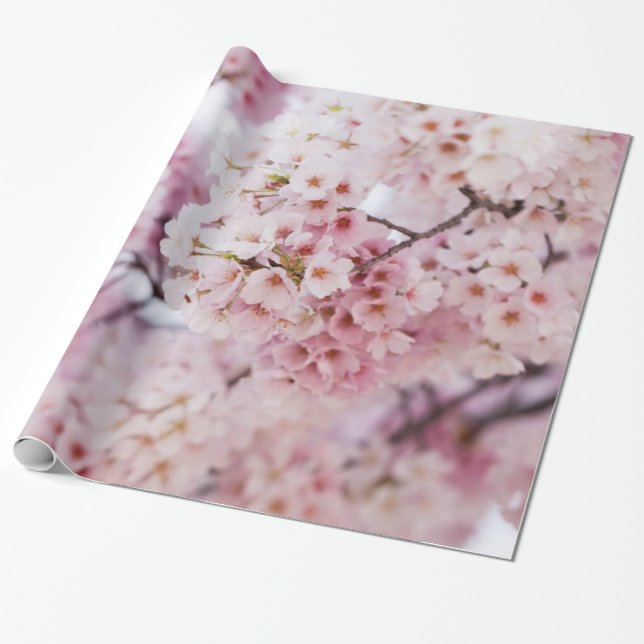 Cherry Blossoms Wrapping Paper (Unrolled)