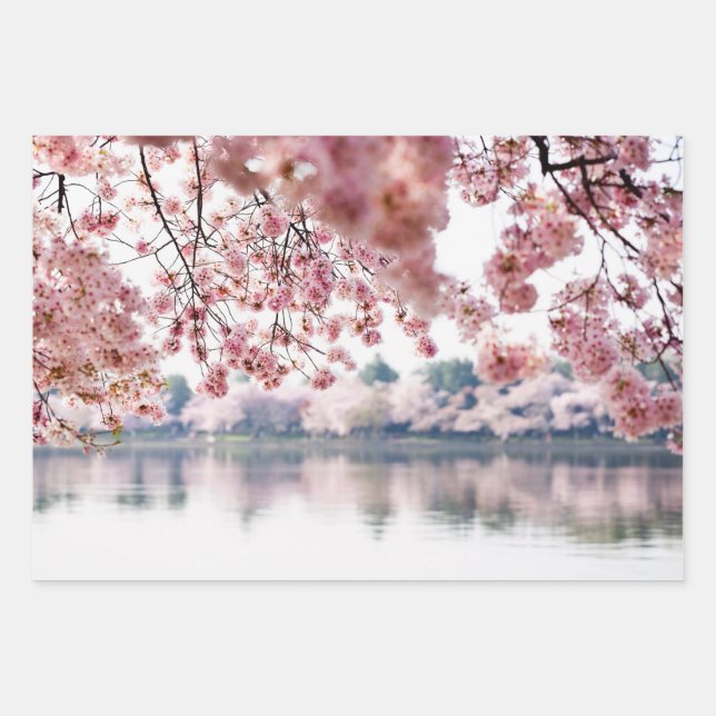 Cherry Blossoms Wrapping Paper Sheet (Front)