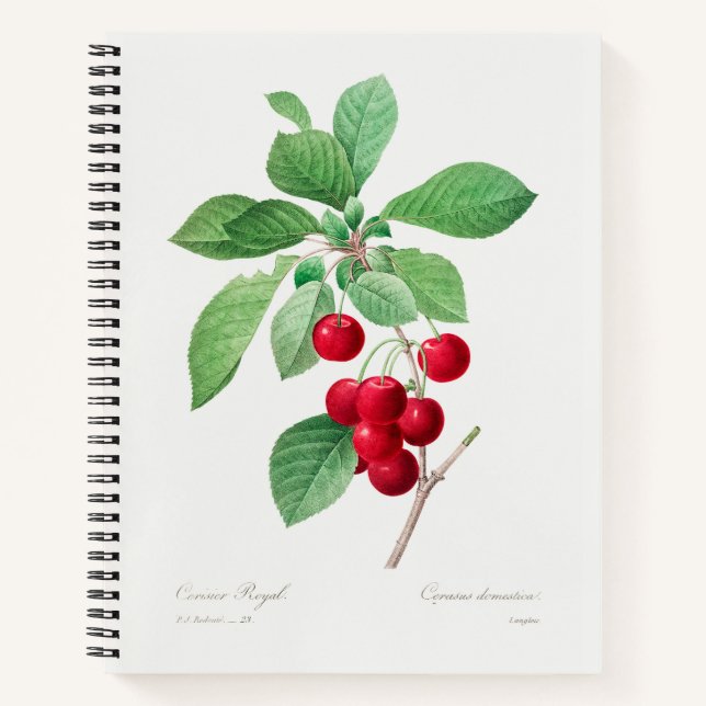 Cherry Botanical Print Notebook (Front)