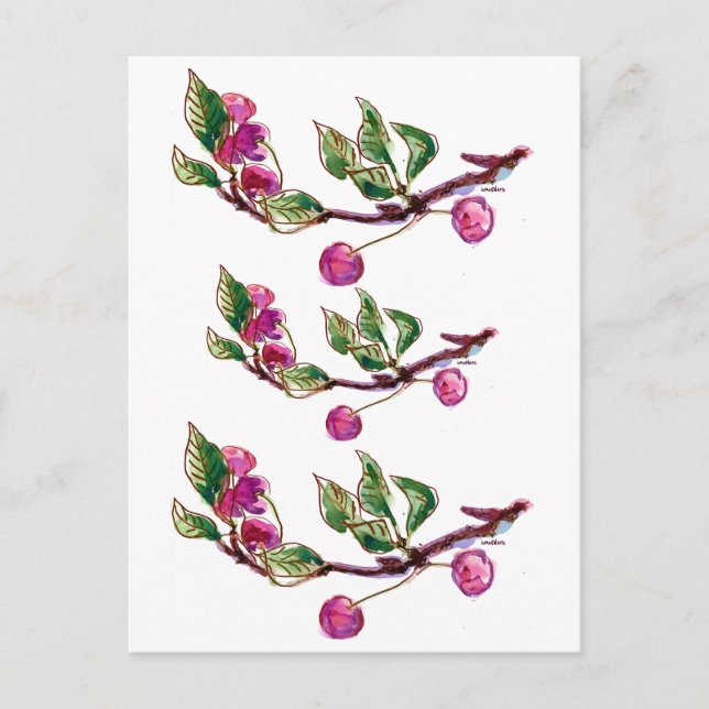 Cherry Branch Postcard (Front)