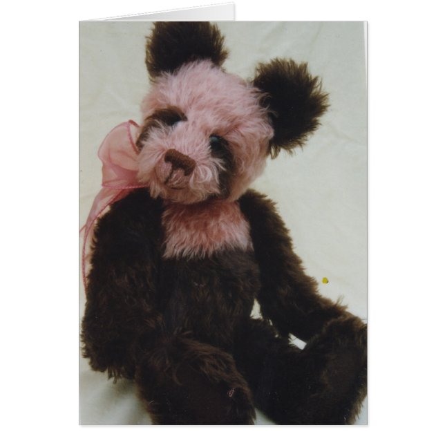 Cherry Cola the Teddy Bear (Front)