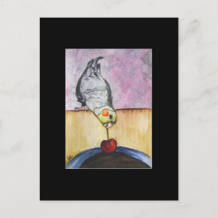 Cherry Dip (cockatiel) ACEO Art Trading Card