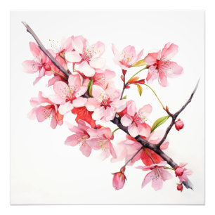 Cherry Flower Branch Photo Print
