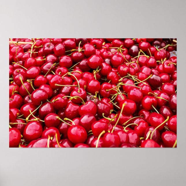 Cherry Galore Poster (Front)