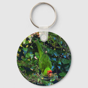 Cherry Headed Conure #1 Keychain