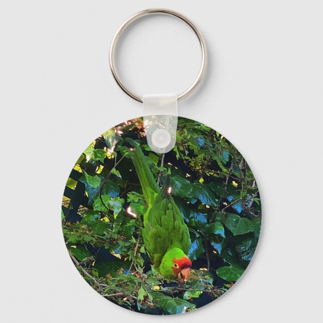 Cherry Headed Conure #1 Keychain (Front)