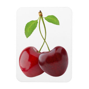 Cherry hearts magnet
