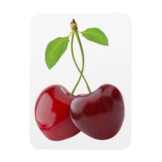 Cherry hearts magnet (Vertical)