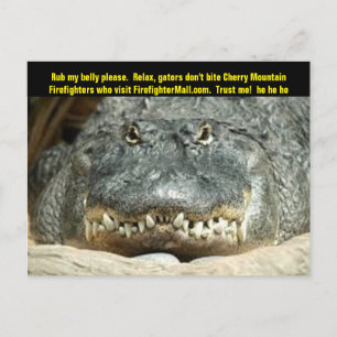 Cherry Mountain Firefighter Postcard