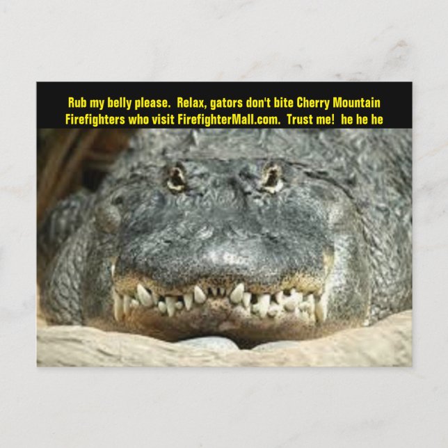 Cherry Mountain Firefighter Postcard (Front)