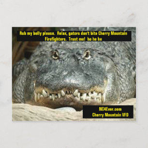 Cherry Mountain Firefighter Postcard