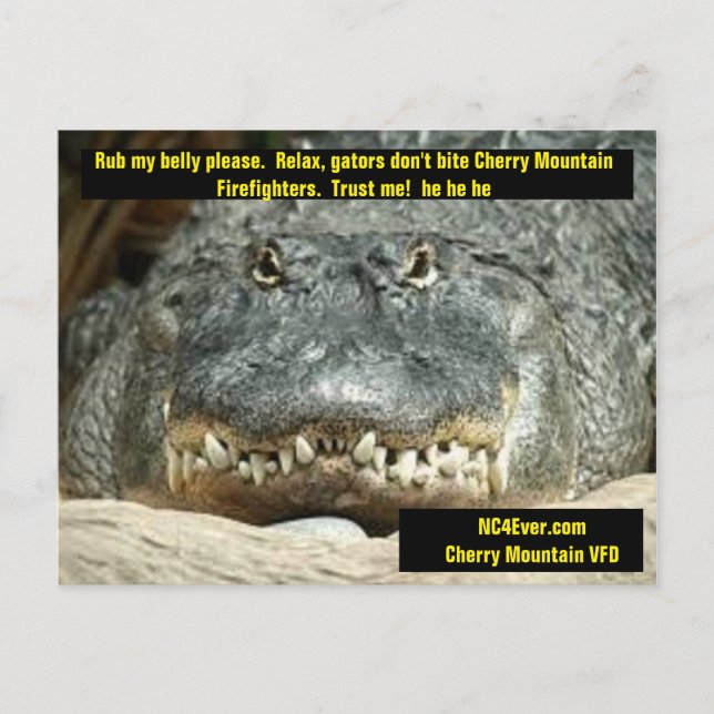 Cherry Mountain Firefighter Postcard (Front)