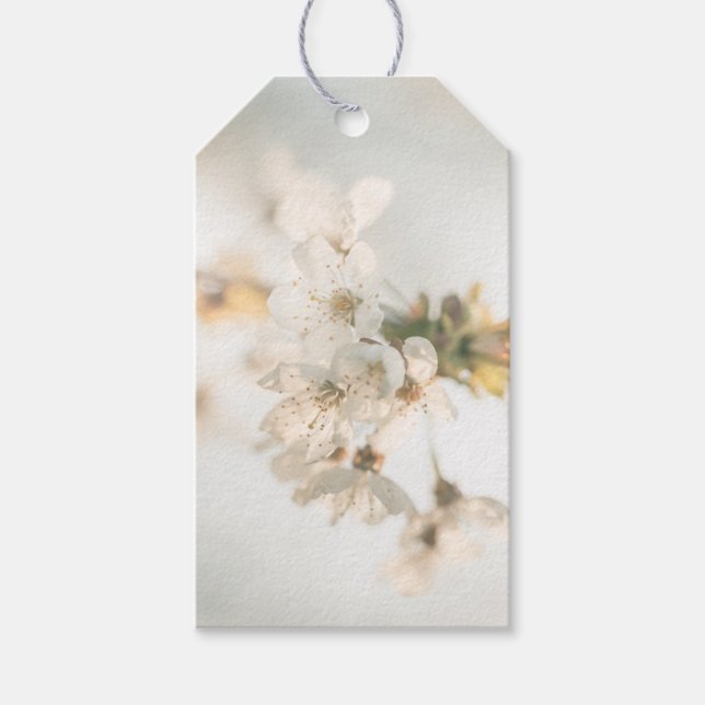 Cherry Nature Photo Gift Tags (Front)