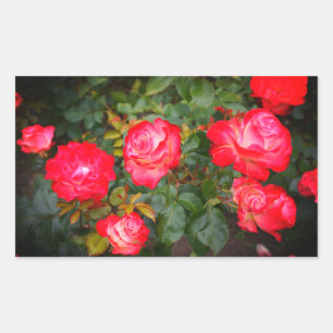 Cherry Parfait Rose #5-2 Stickers