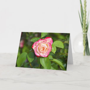Cherry Parfait Rose Card