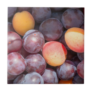 Cherry plum background ceramic tile