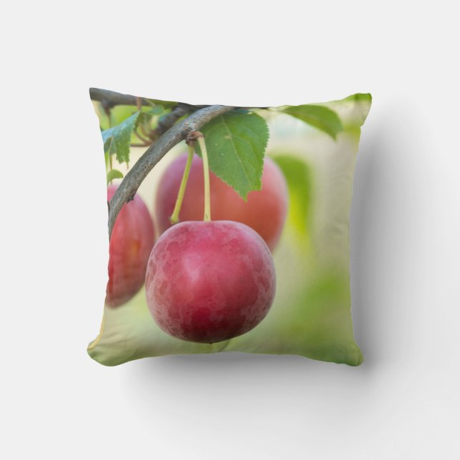 Cherry plum on branch cushion (Front)