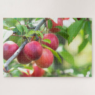 Cherry plum on branch jigsaw puzzle