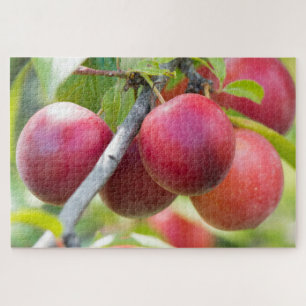 Cherry plum on branch jigsaw puzzle