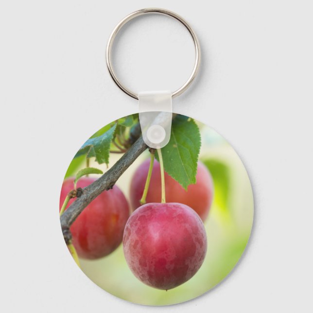 Cherry plum on branch key ring (Front)