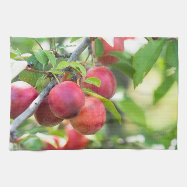 Cherry plum on branch tea towel (Horizontal)