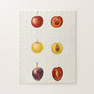 Cherry Plum (Prunus Cerasifera var. Divaricata) Jigsaw Puzzle