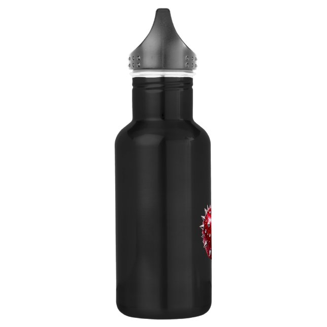 Cherry Rock Style Stainless Steel Flask 532 Ml Water Bottle (Left)