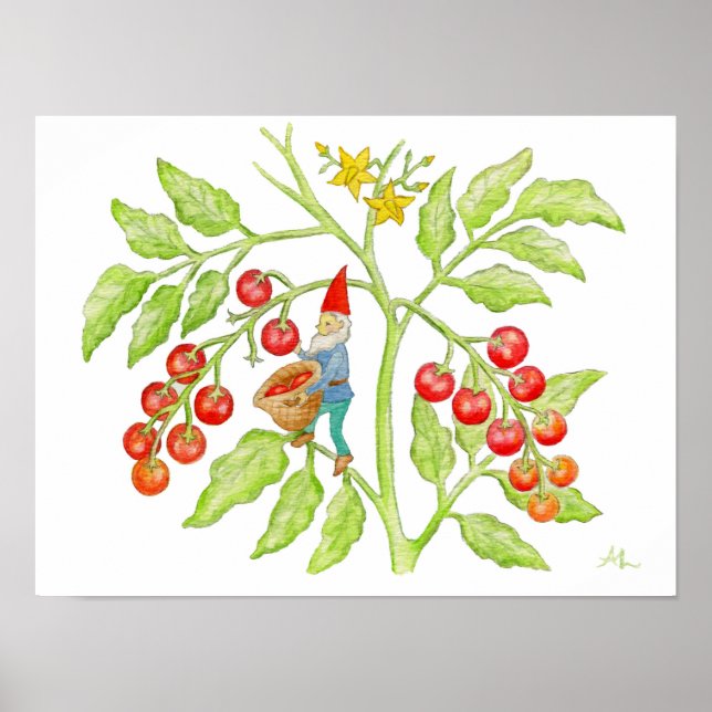 Cherry Tomato Gnome art print (Front)