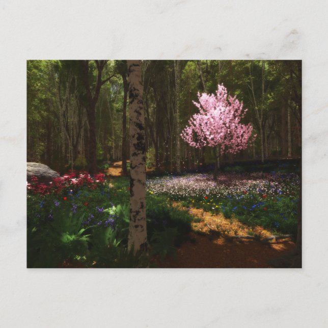 Cherry Tree Concerto Postcard (Front)