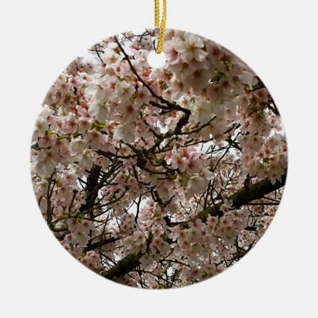 Cherry Tree in Bloom, Oregon Ceramic Ornament (Front)