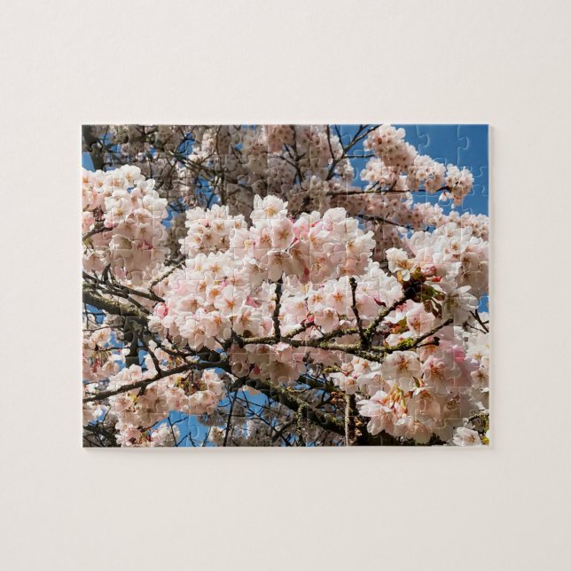 Cherry Tree in Bloom, Oregon Jigsaw Puzzle (Horizontal)