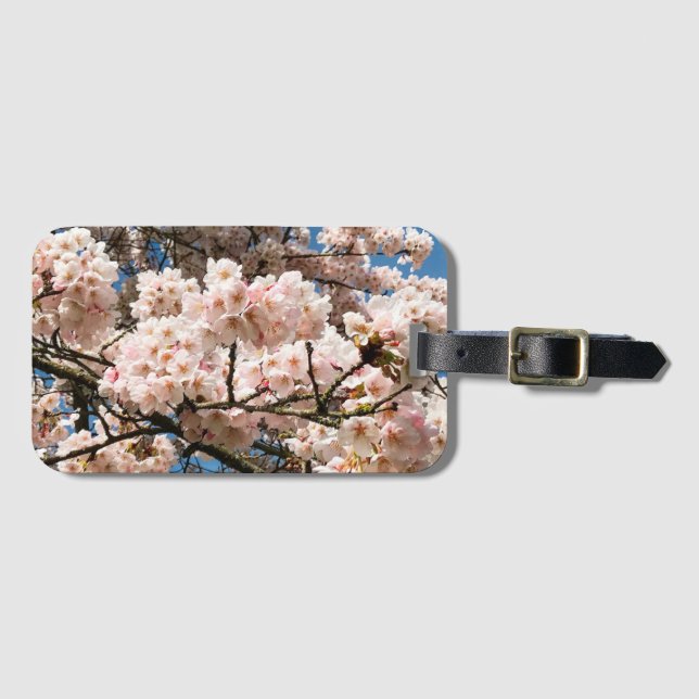 Cherry Tree in Bloom, Oregon Luggage Tag (Front Horizontal)