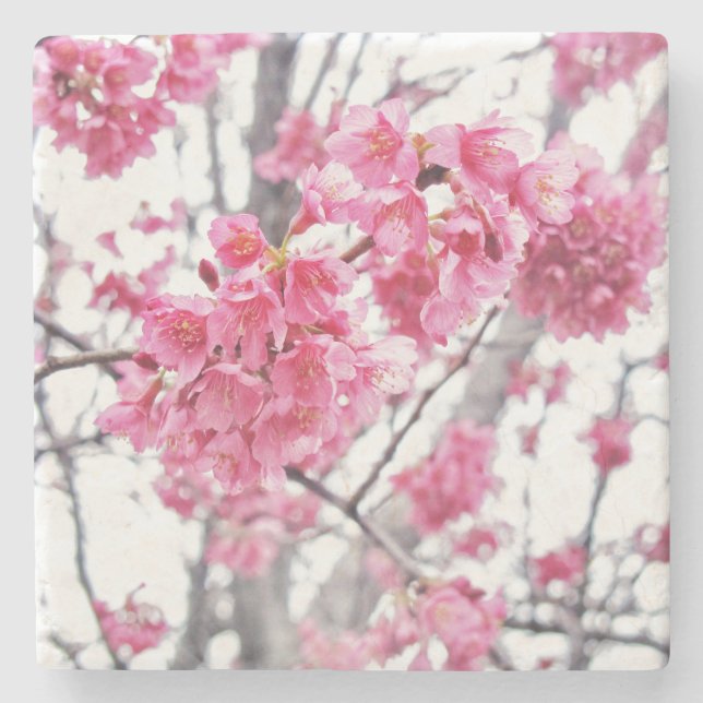 Cherry tree in bloom stone coaster (Front)