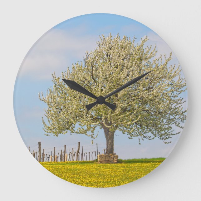 Cherry Tree In Spring Large Clock (Front)