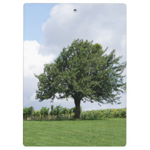 Cherry Tree In Summer Clipboard