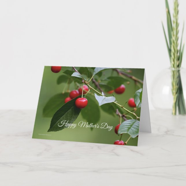 Cherry Tree Mother's Day Card (Front)