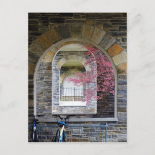 Cherry Tree Through The Arches Postcard