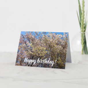 Cherry Trees In Full Bloom On A Warm Day Of Spring Card