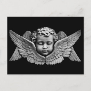 Cherub and Wings Postcard