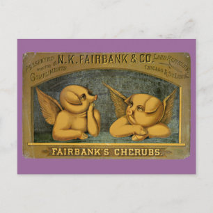 Cherub Angel Pigs Postcard
