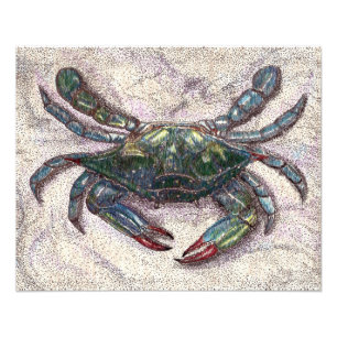 Chesapeake Bay Blue Crab Photo Print